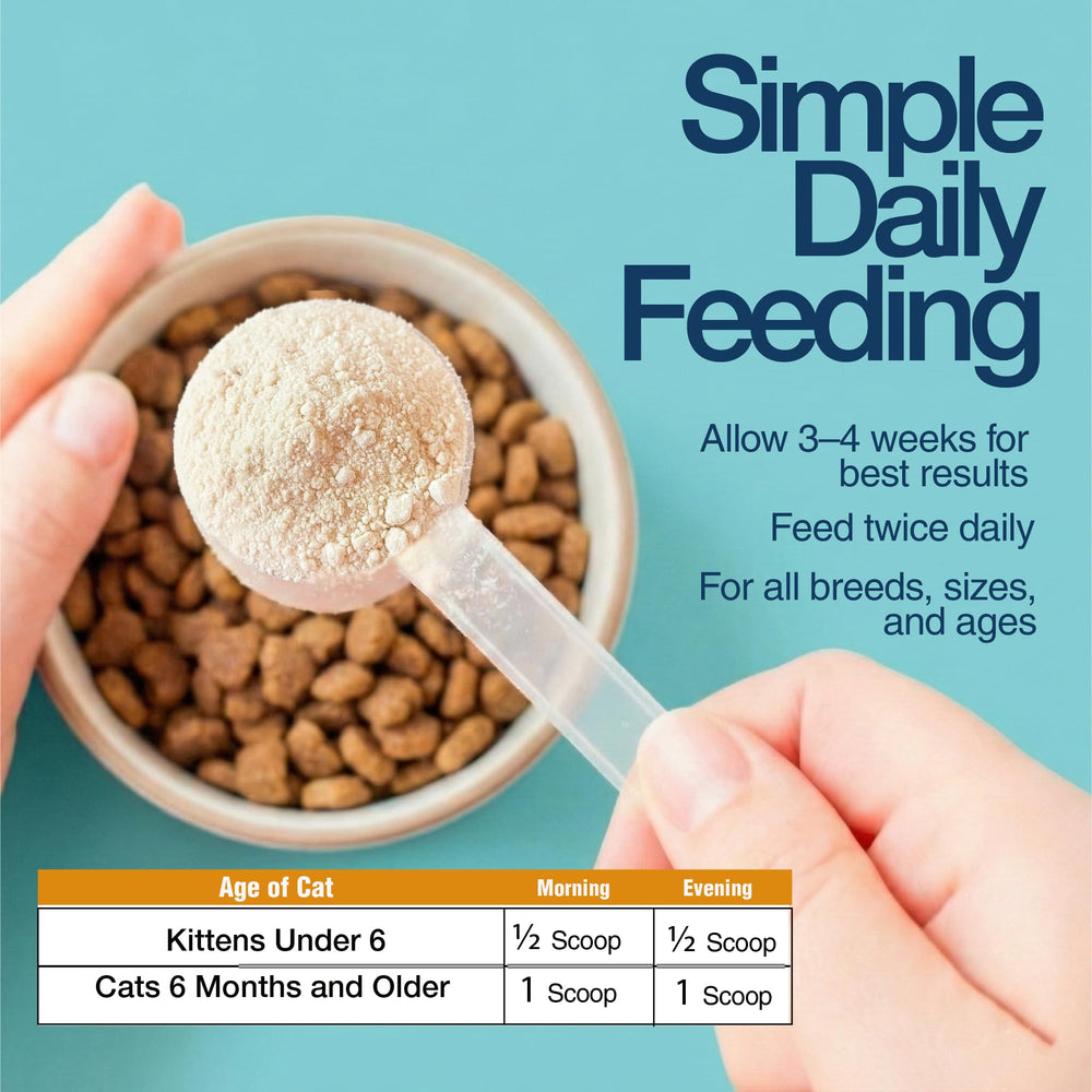 310 portions par pot Felisyl L-Lysine, économe et pratique.