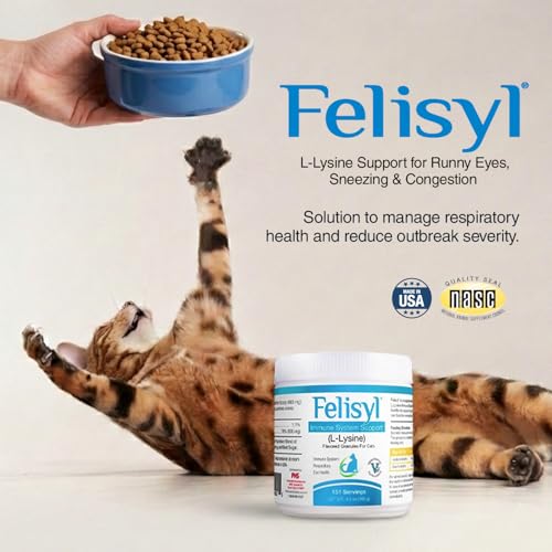 Granulés Felisyl L-Lysine pour chat, faciles à parsemer dans sa nourriture quotidienne.