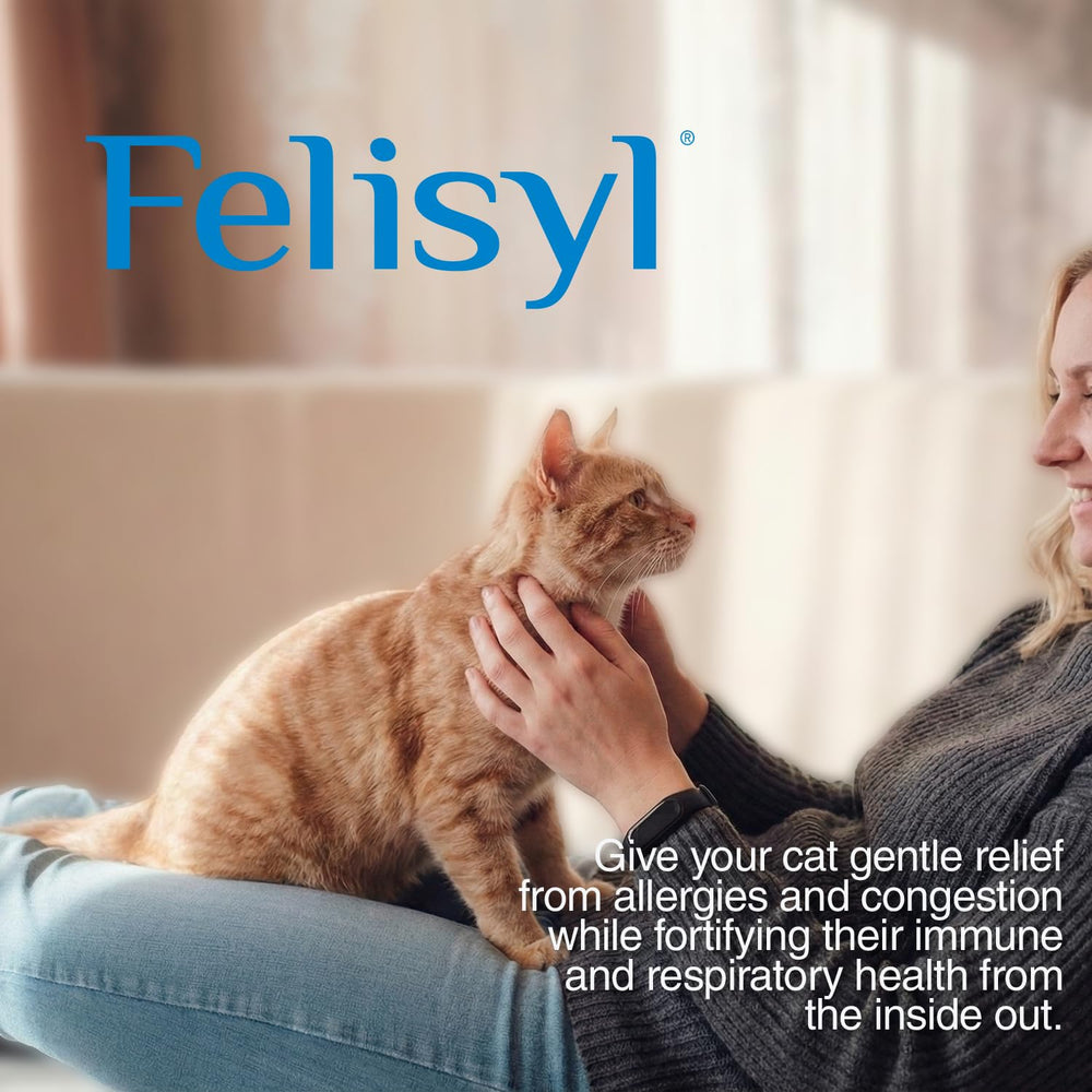 Felisyl L-Lysine, format pratique pour les repas et les soins quotidiens.