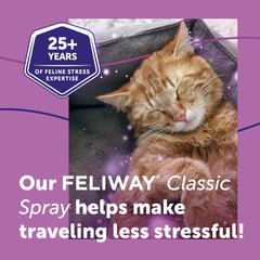FELIWAY Classic Spray sur lit et draps, ambiance apaisante.