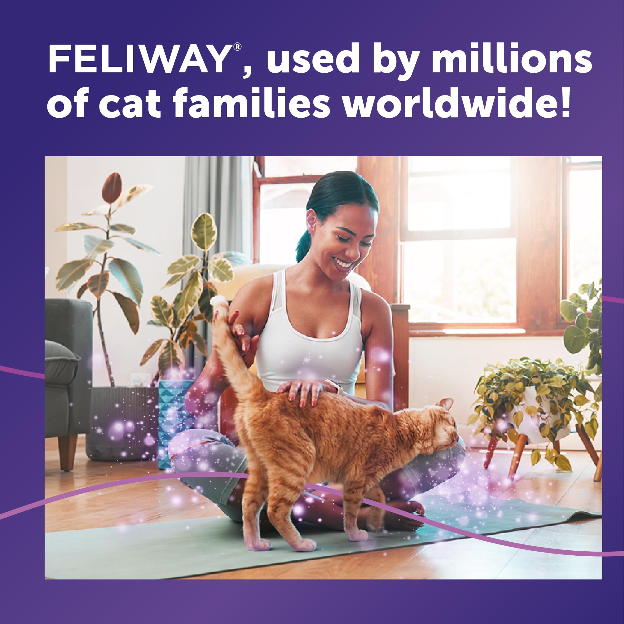FELIWAY Classic Spray en voiture, voyage plus serein.