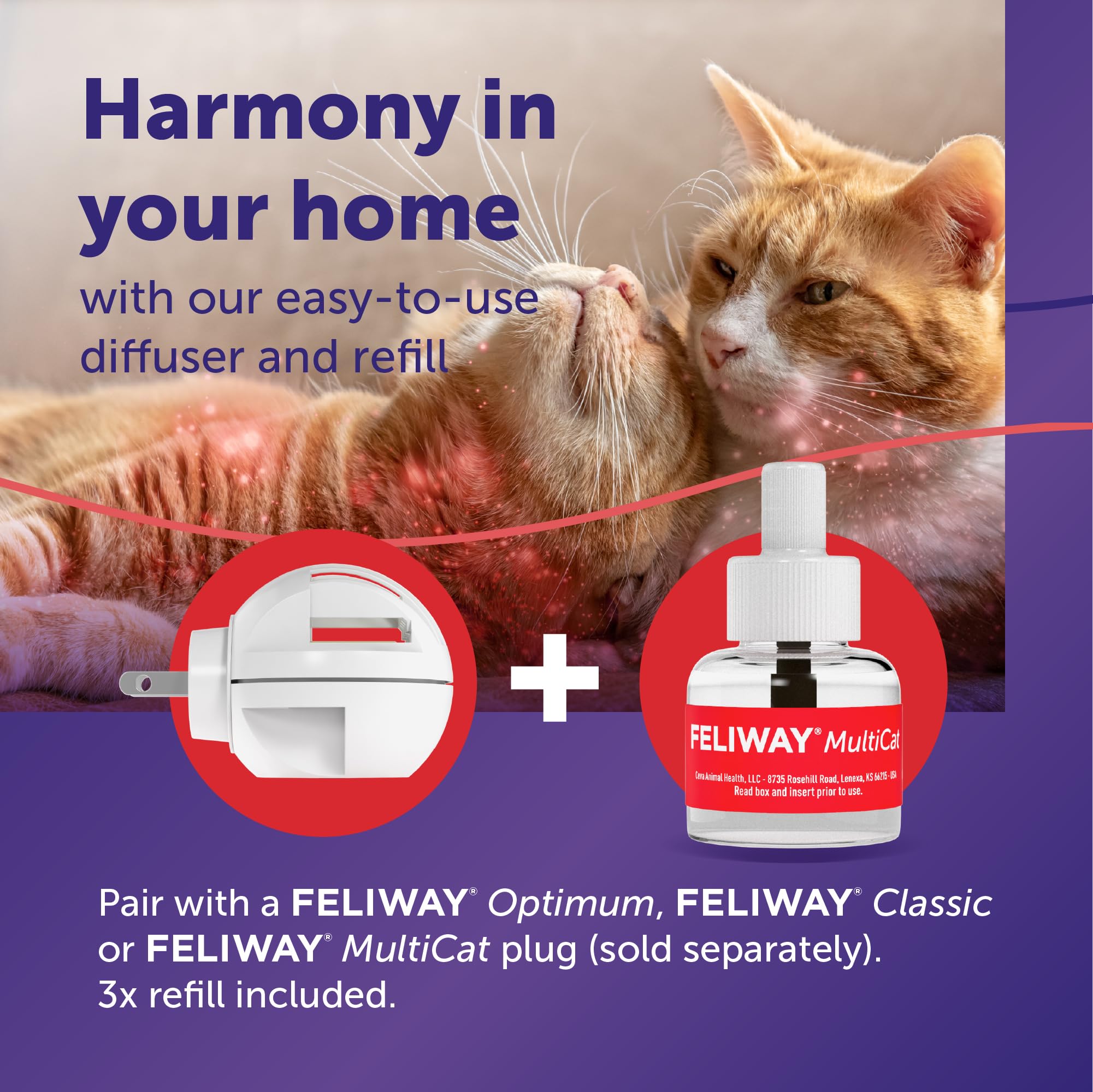 Ambiance apaisante FELIWAY MultiCat adaptée à une vie multi-chats.