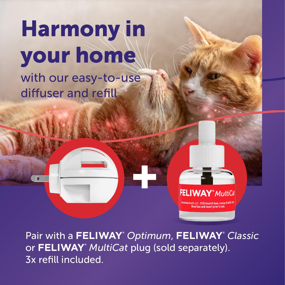 Ambiance apaisante FELIWAY MultiCat adaptée à une vie multi-chats.
