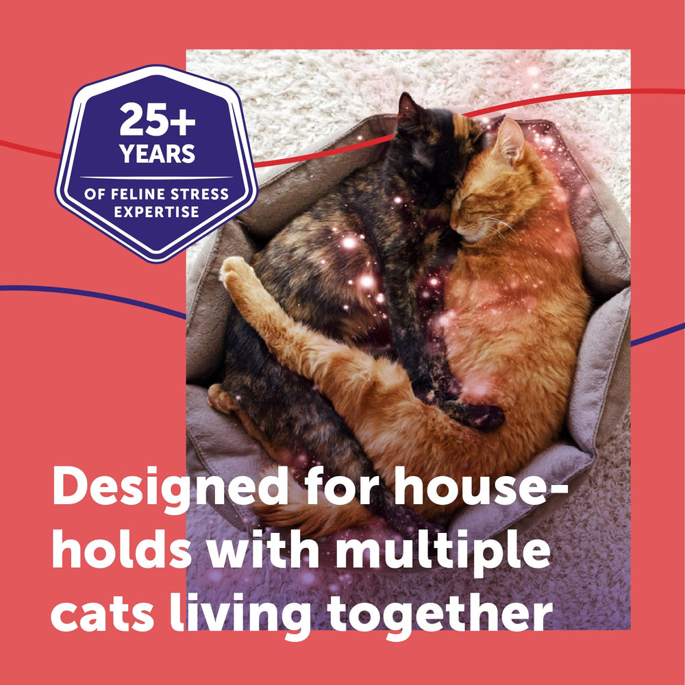 Solution FELIWAY MultiCat sans médicament pour la cohabitation féline.