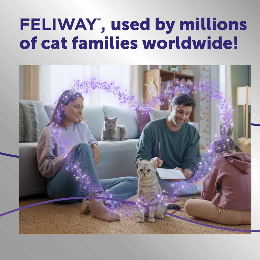 Chat détendu grâce à FELIWAY Optimum dans le foyer.