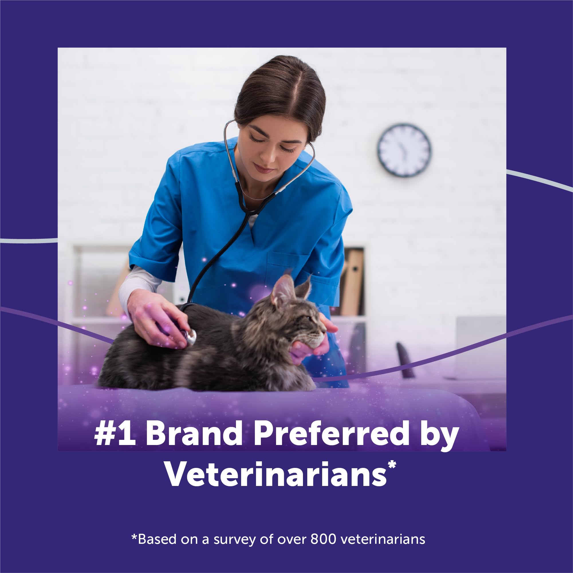 FELIWAY Optimum — produit recommandé par les vétérinaires: appui pour le bien-être félin.