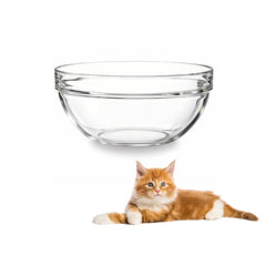 Bol Feoyoho en verre de remplacement pour support 3,75 pouces – pratique et sûr.
