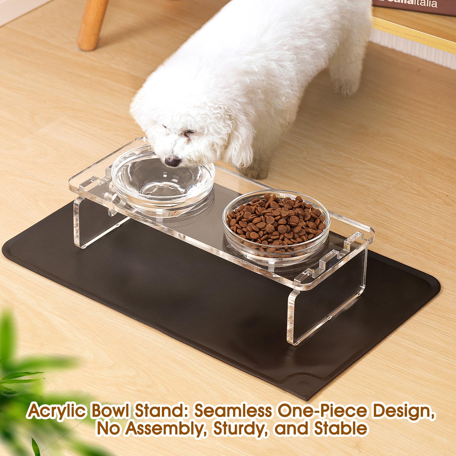 Feoyoho bols-inox-petits-pour-chat, bol repas durable et hygiénique.