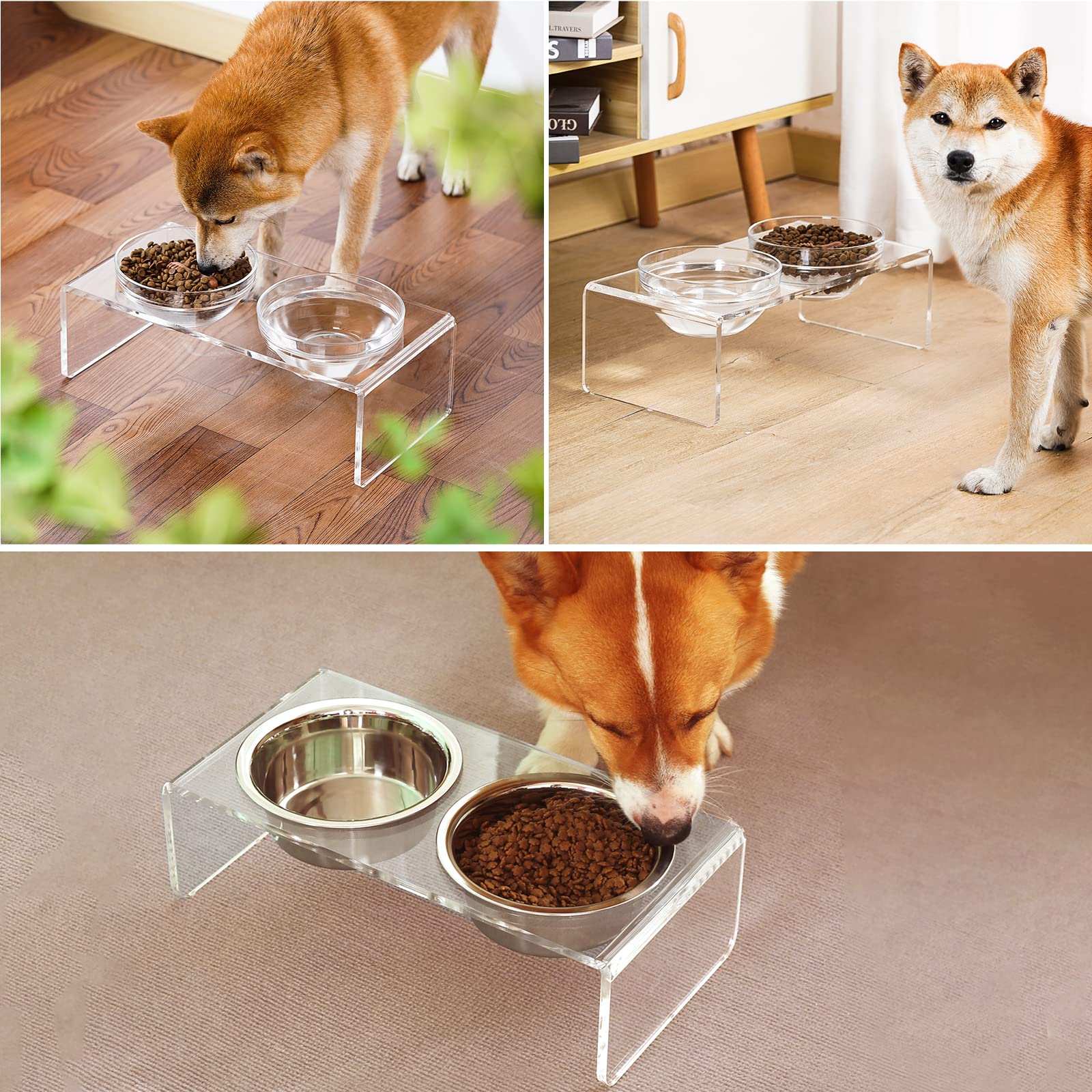 Feoyoho hauteur 14 cm, adapte pour chiens et chats de taille moyenne.