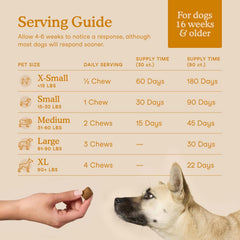 Fera Pets Allergie Chien Reishi et Chaga : champignons bio pour le renforcement naturel.