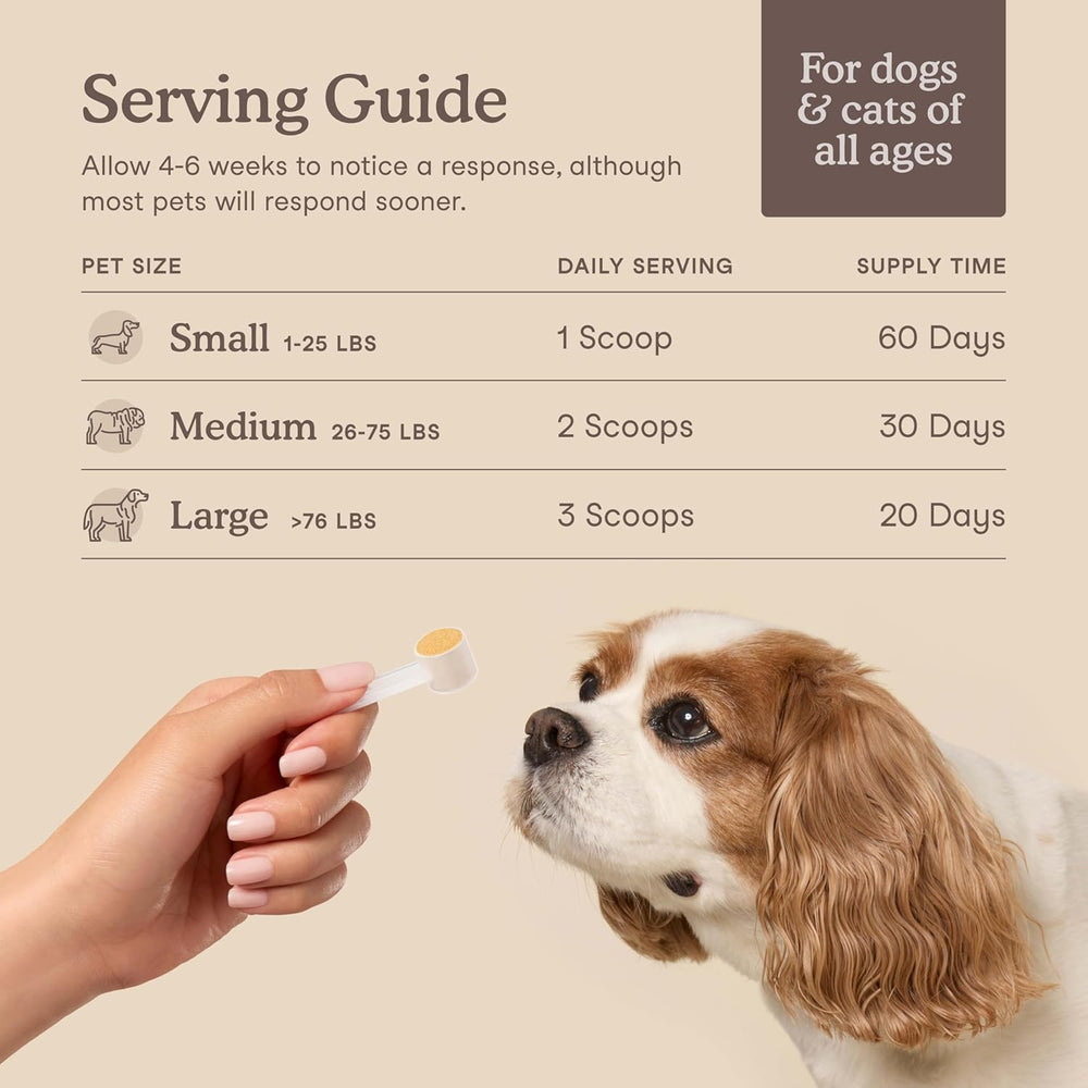 Fera Pets – choline en poudre, nutriments essentiels pour le métabolisme et l’énergie.