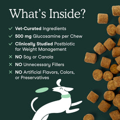 Fera Pets: ingrédients curcuma et boswellia pour soutien naturel