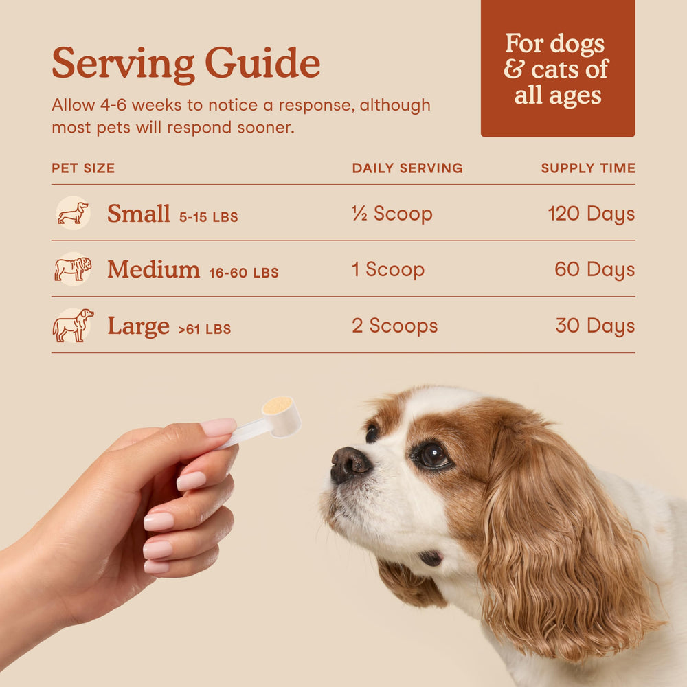 Fera Pets Probiotics: emballage sûr et certifié, pratique et durable.