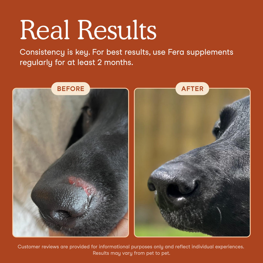 Fera Pets Probiotics: étiquette organique certifiée USDA sur l’emballage.