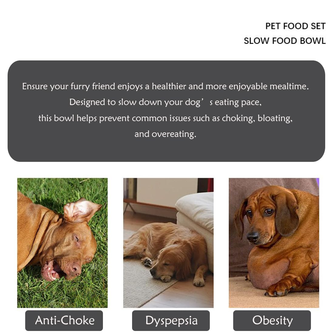 Plan labyrinthique Fermus, bol interactif pour chien, repas plus engageant