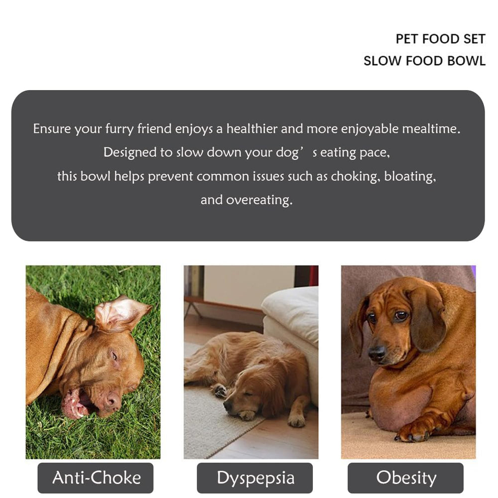 Plan labyrinthique Fermus, bol interactif pour chien, repas plus engageant