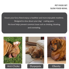 Plan labyrinthique Fermus, bol interactif pour chien, repas plus engageant