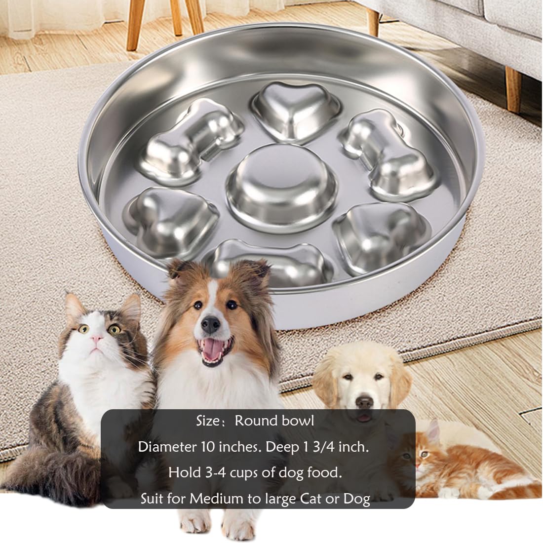 Diamètre 10 pouces, bol Fermus en acier inoxydable durable