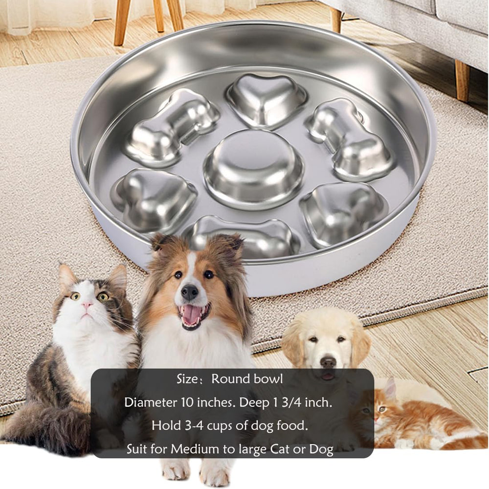 Diamètre 10 pouces, bol Fermus en acier inoxydable durable