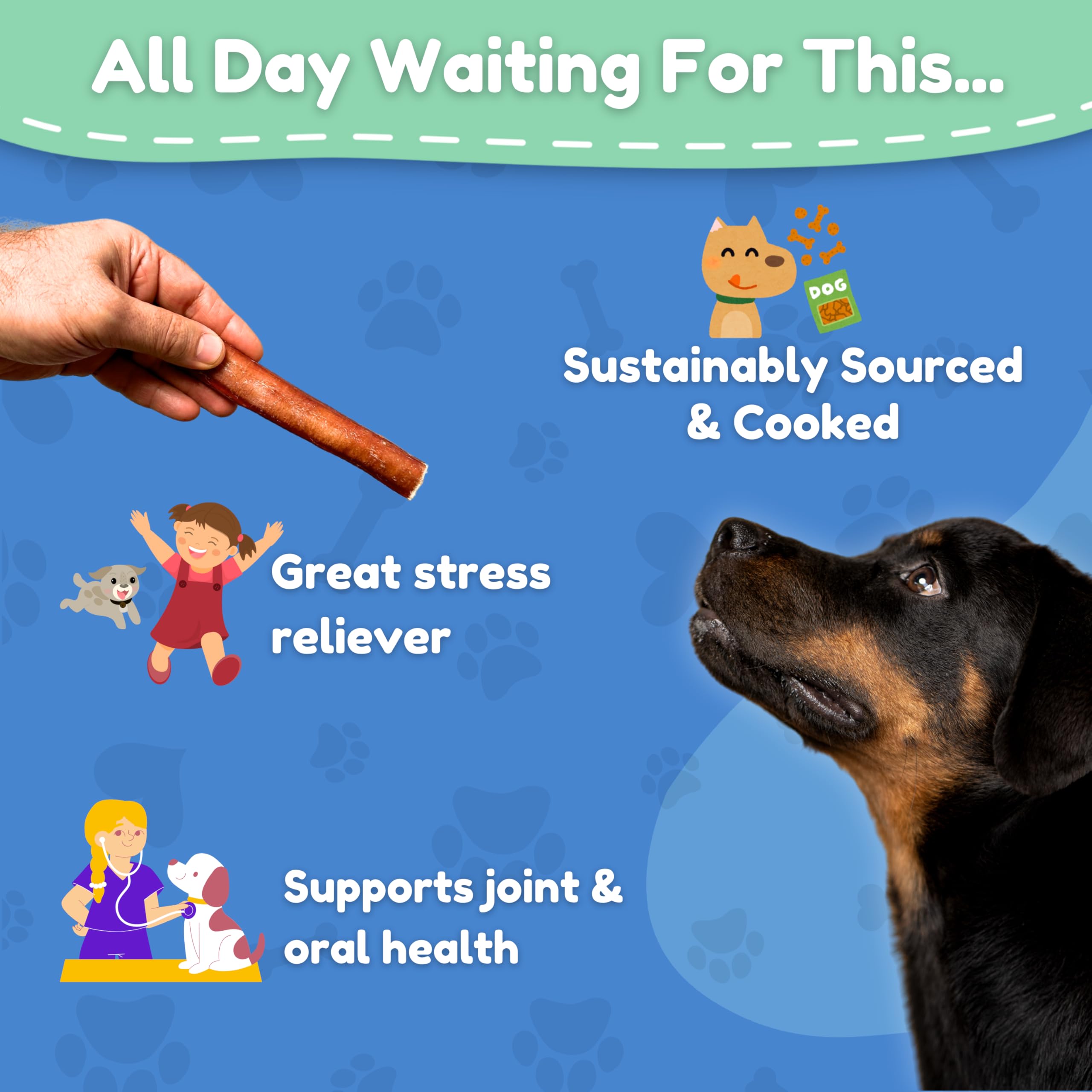 Fetch & Fun BULLY STICKS, protéine élevée pour les muscles.