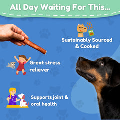 Fetch & Fun BULLY STICKS, protéine élevée pour les muscles.