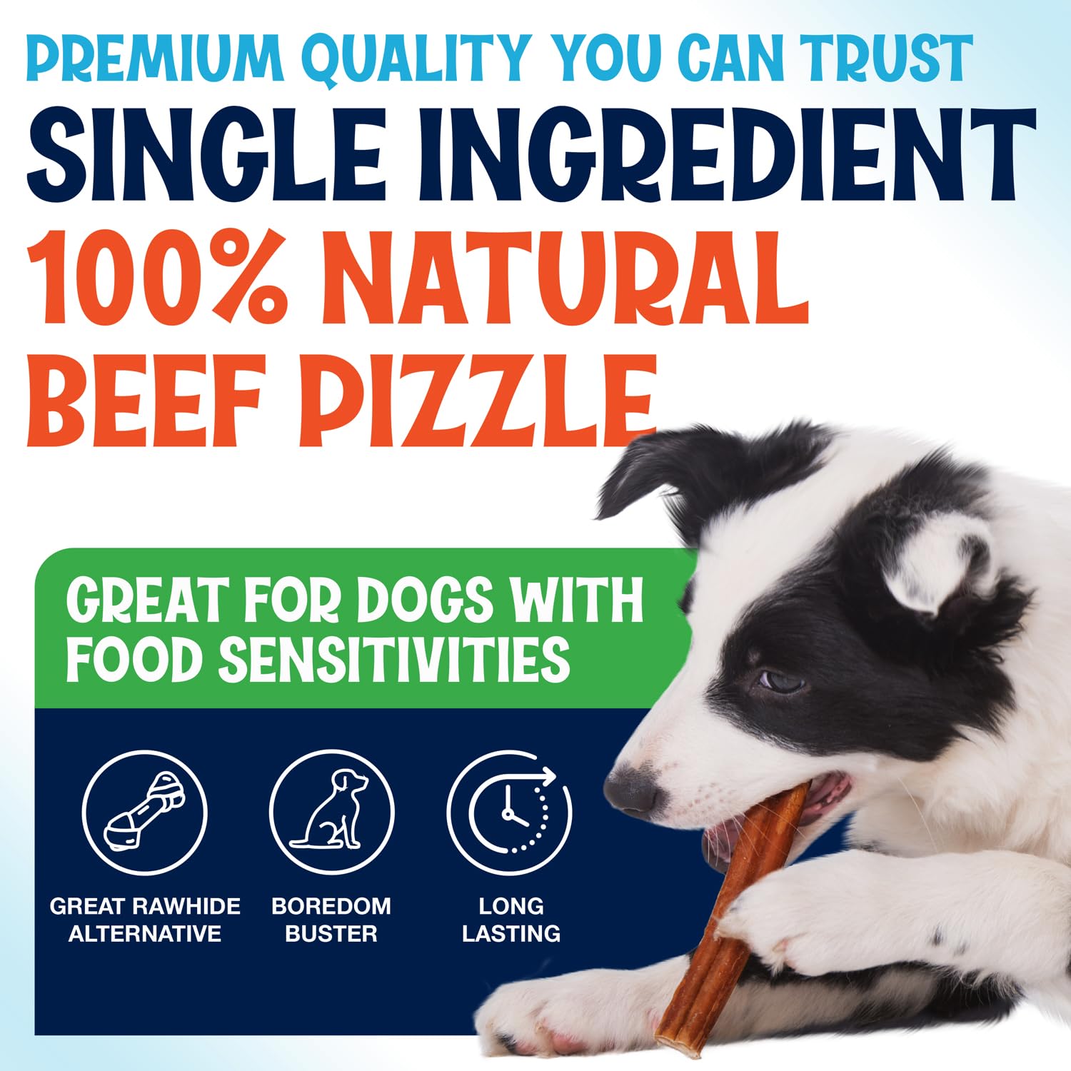 Fetcheroni Bully Sticks favorisent l’enrichissement mental lors des sessions de jeu.