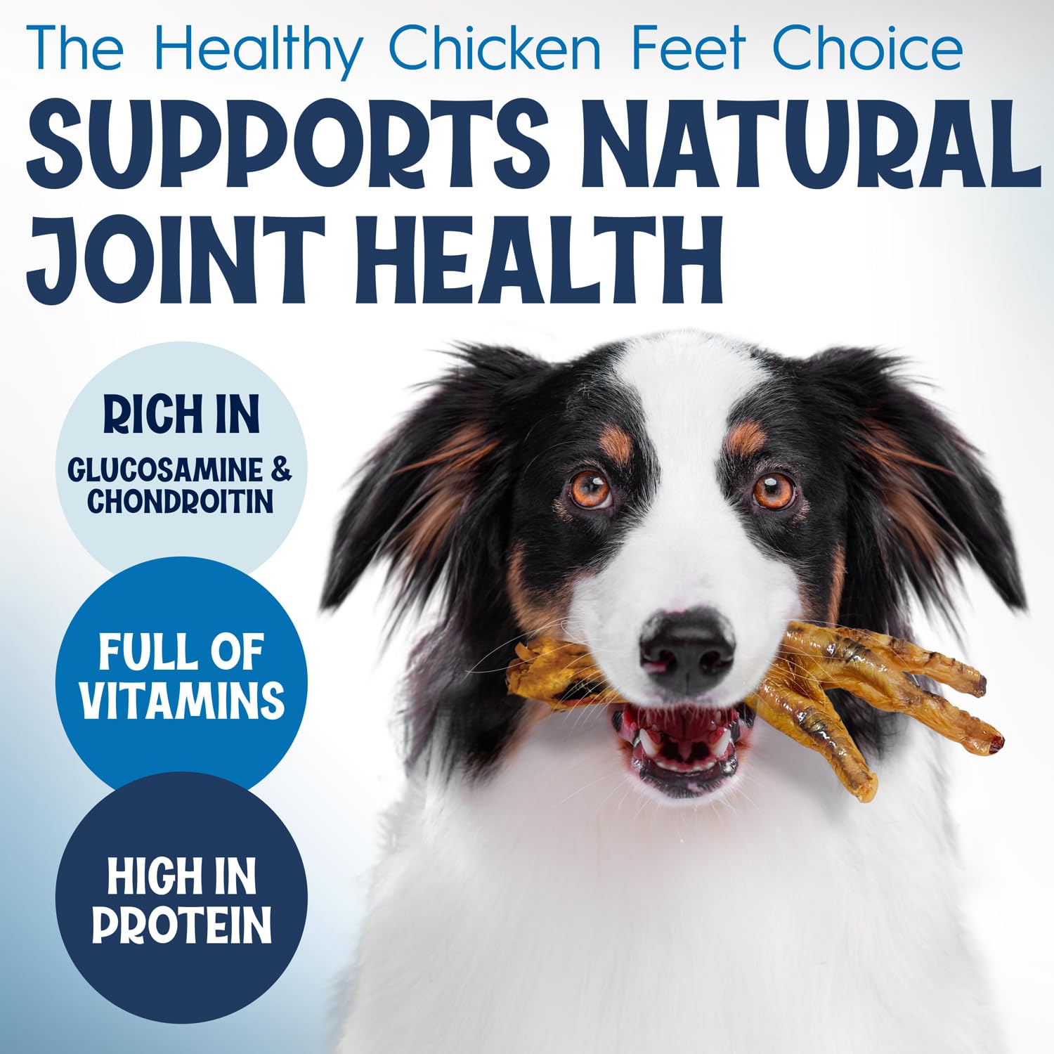 FETCHERONI chien-qui-mord-pieds: croquant stimulant pour la mastication et le réconfort.