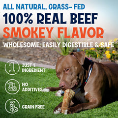 FETCHERONI os boeuf rempli: plaisir durable pour chiens.
