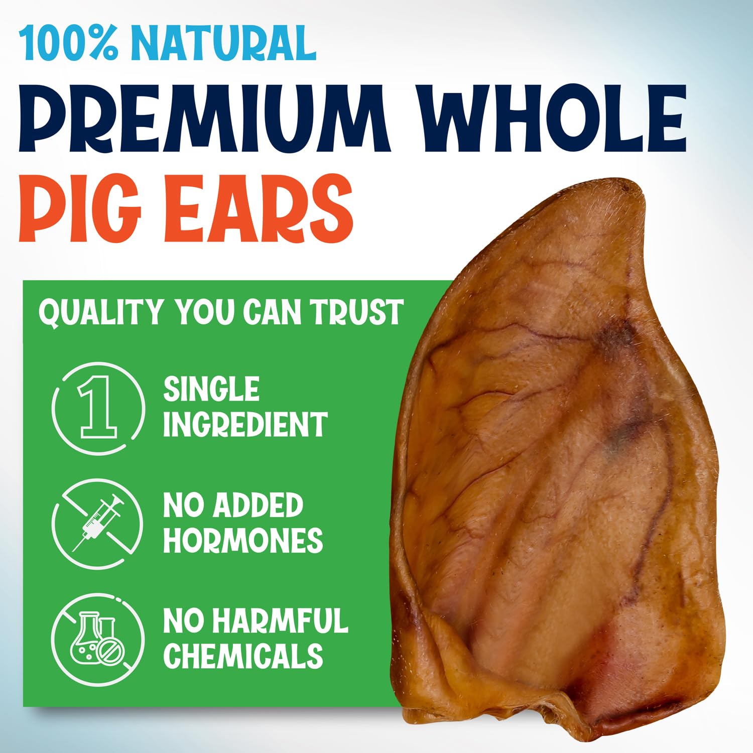 Pack de 100 oreilles porc Fetcheroni, pratique et longévité.