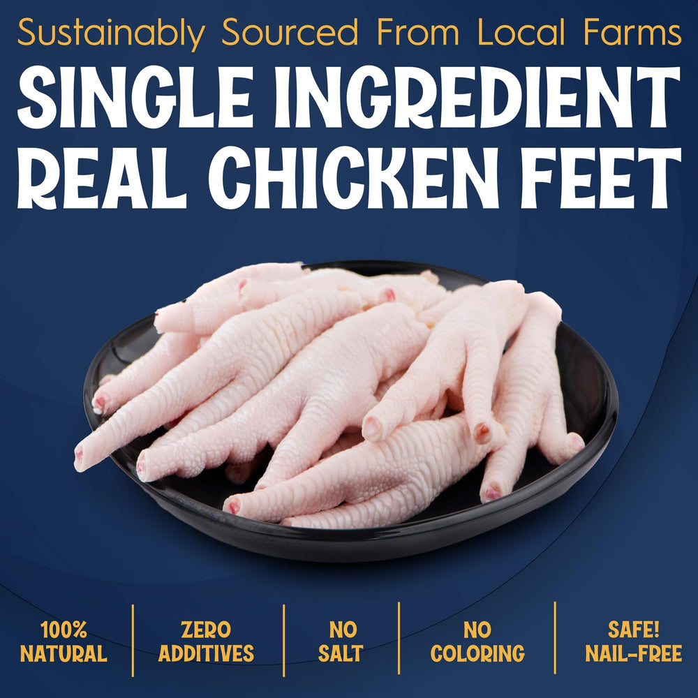 FETCHERONI variétés-poulet-et-canard: choix de saveurs pour chiens curieux.