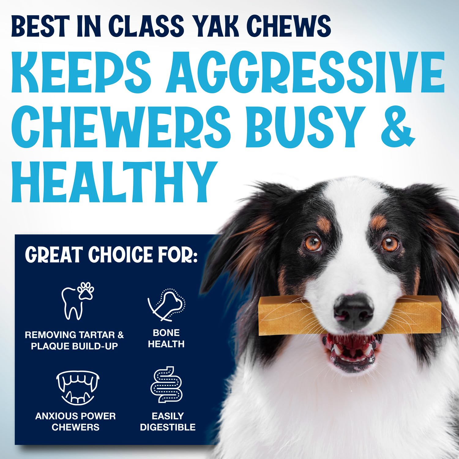 Fetcheronihimalayan-yak-chews sans conservateurs ni additifs, snack sain.
