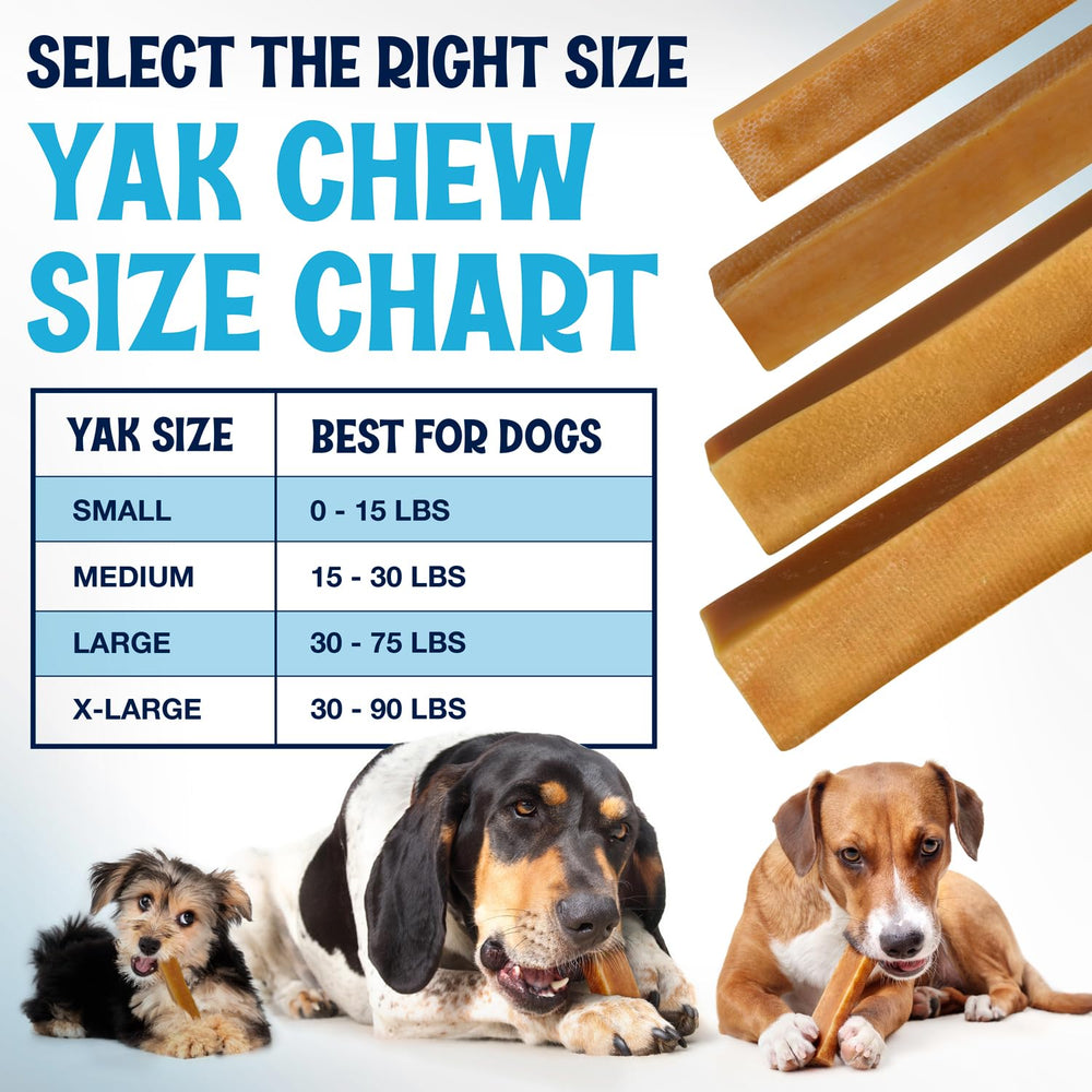 Texture ferme du Yak Cheese chew, premier plan.