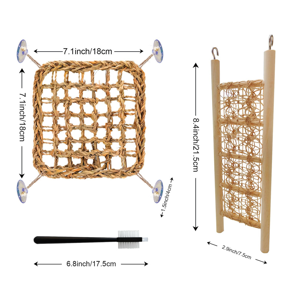FEXICHUJI ladder-bois-vert favorise l exercice quotidien