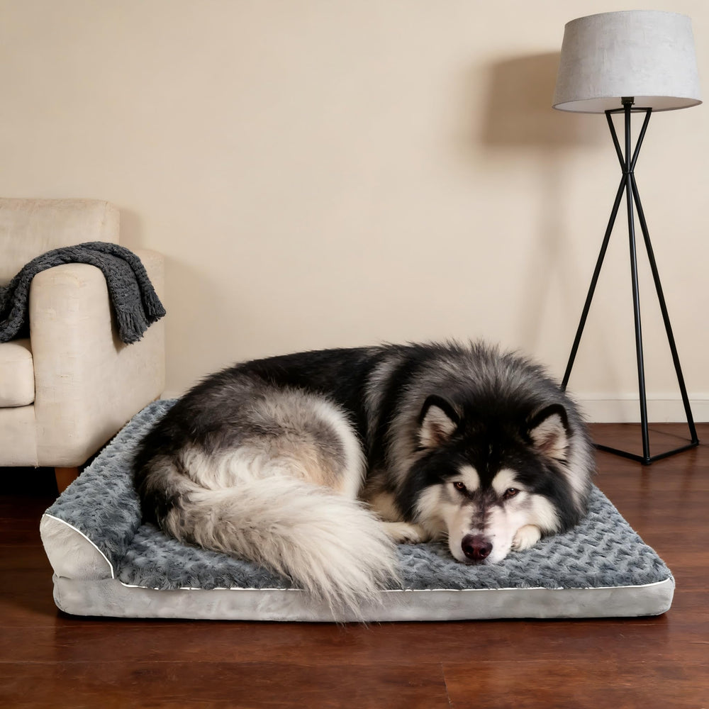 Design canapé FFIQQ pour chien, style et repos.