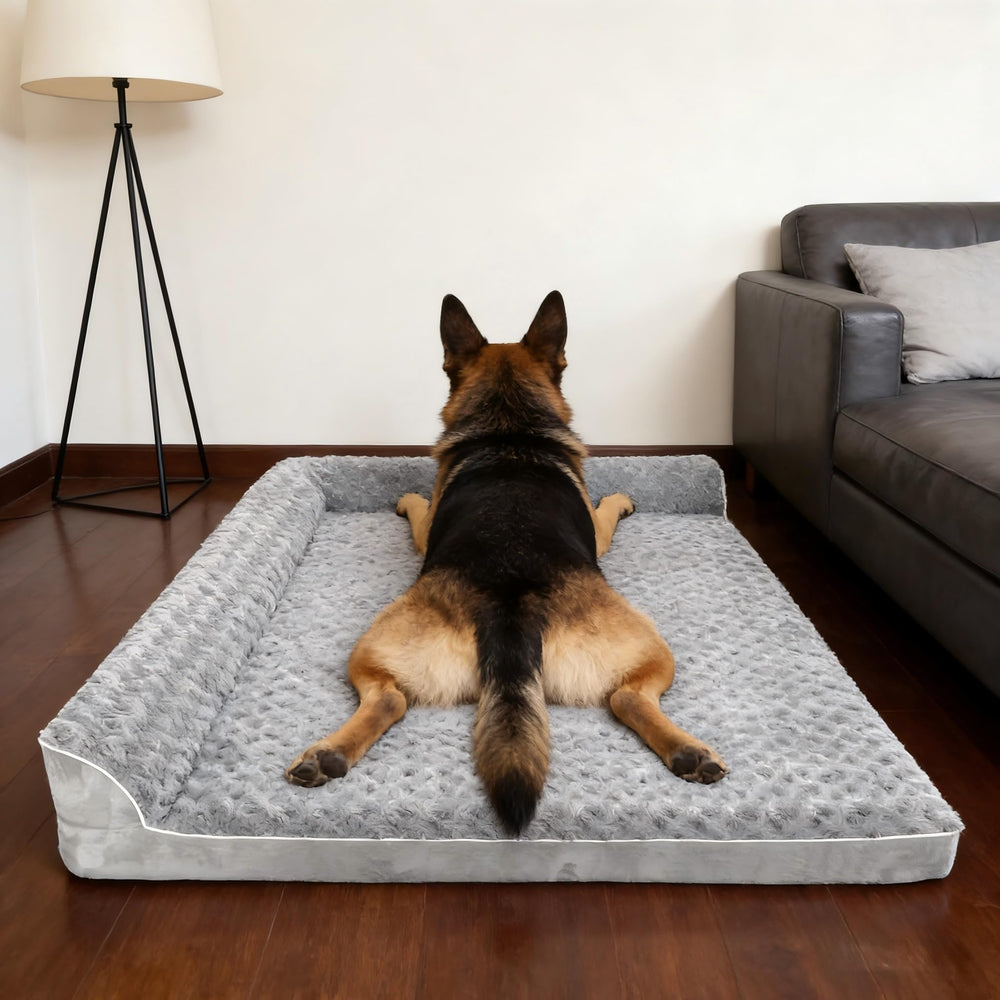 Place idéale dans salon ou chambre, FFIQQ pour deux animaux.