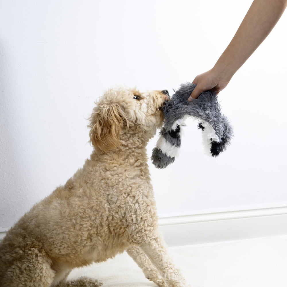 Écureuil peluche FGA MARKETPLACE, stimule le jeu interactif et la curiosité.