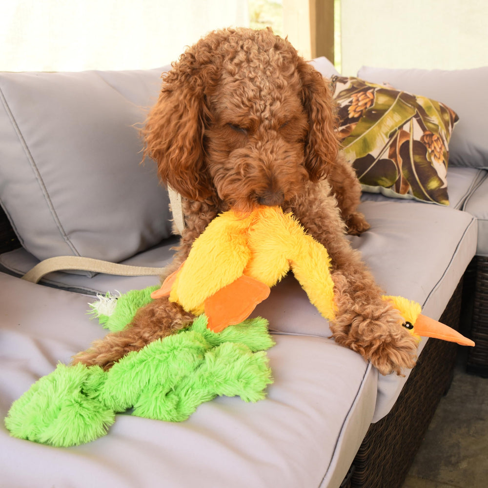 FGA MARKETPLACE Longueur de 21 pouces jouet chien