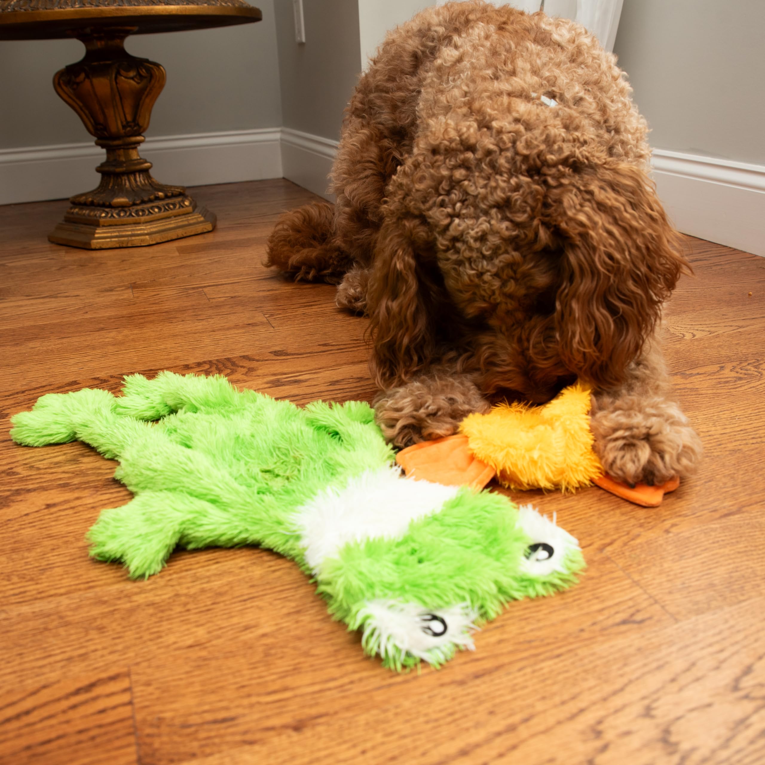 FGA MARKETPLACE Utilisation intérieur et extérieur jouet chien