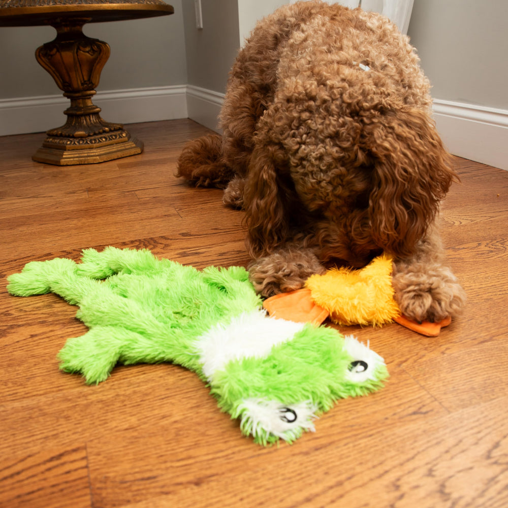 FGA MARKETPLACE Utilisation intérieur et extérieur jouet chien