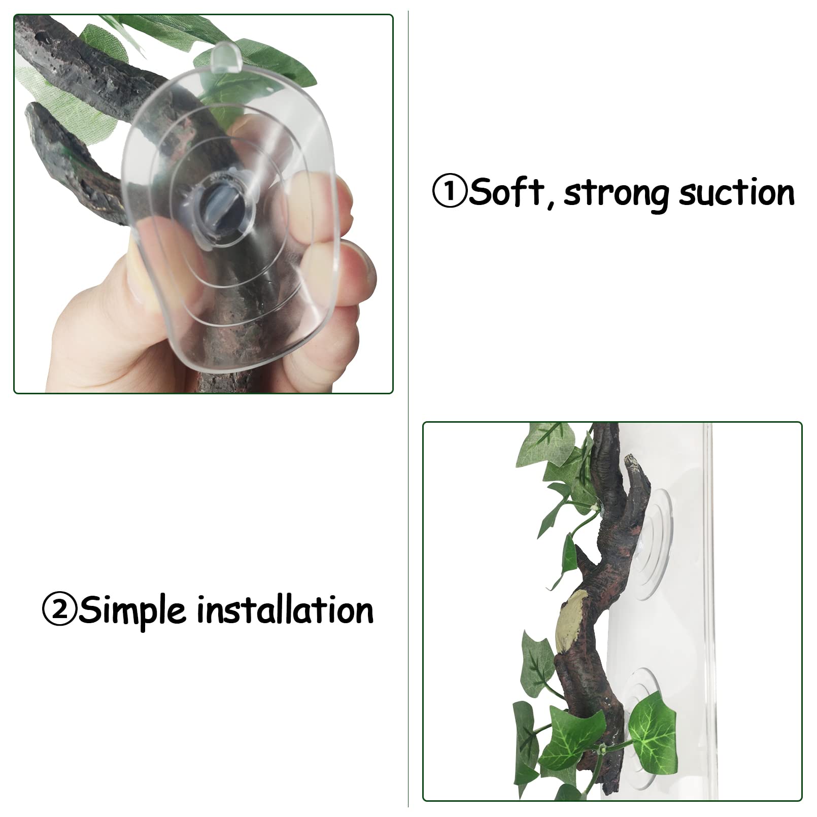 Accessoire terrarium Fhiny: branche ajoutée pour cachette et jeu.