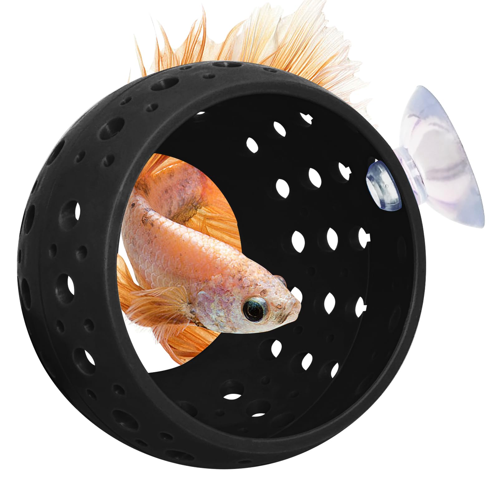 Fhiny Betta Tunnel: cachette pour poissons, refuge sûr et calme dans l'aquarium.