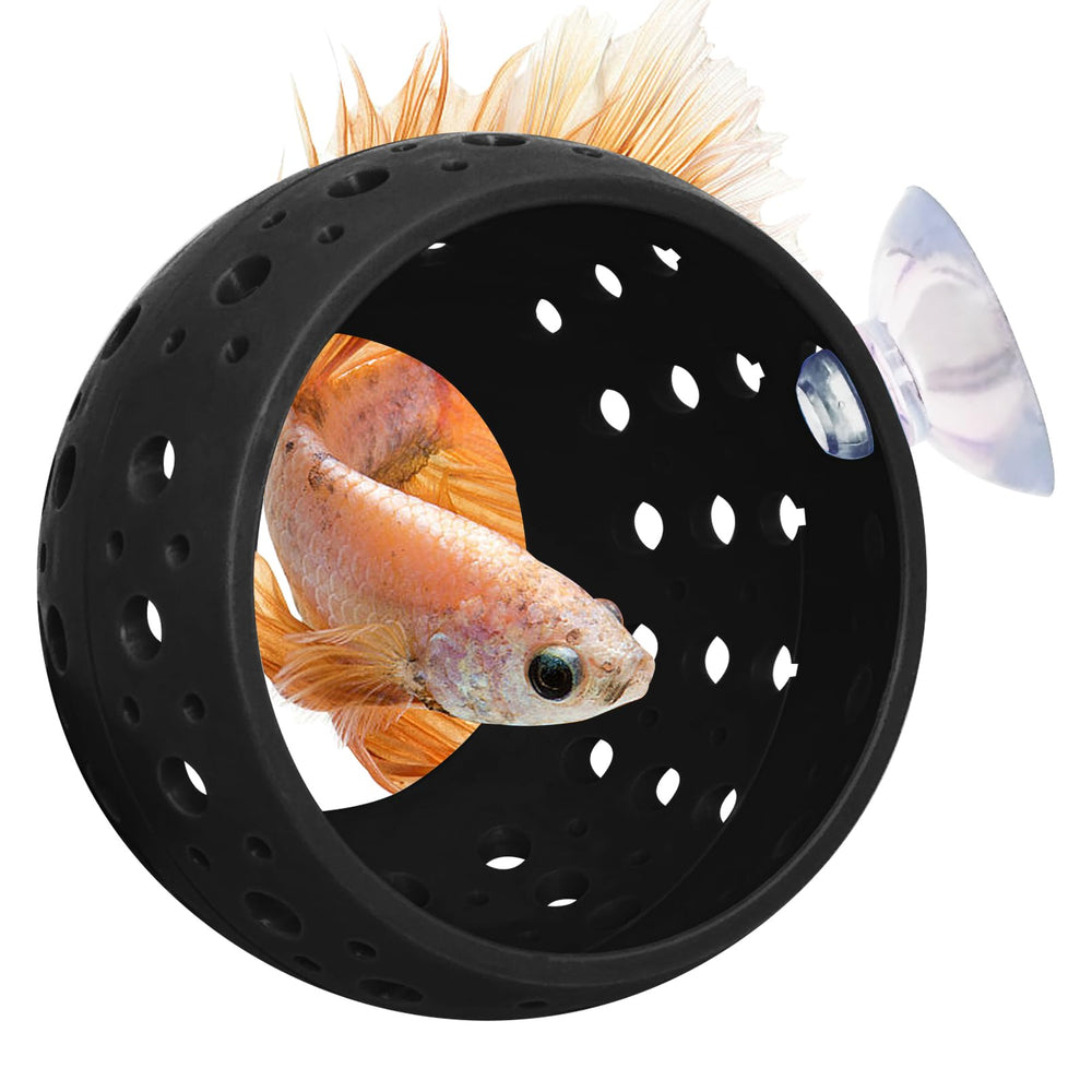Fhiny Betta Tunnel: cachette pour poissons, refuge sûr et calme dans l'aquarium.
