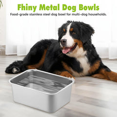 Bol Fhiny durable en métal, conçu pour chiens actifs et forts.