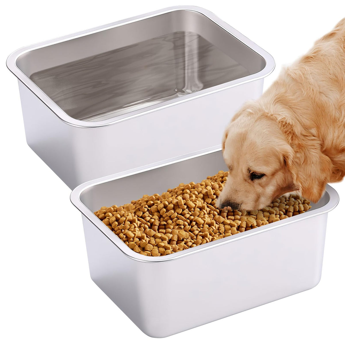 Bol Fhiny en inox, capacité 11 litres, hydratation durable pour chiens.