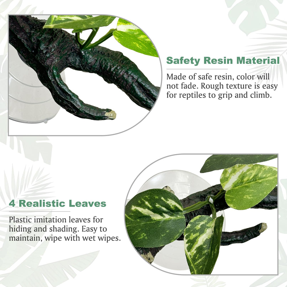 Fhiny branche-terrier 22 cm, dimensions adaptées pour reptiles.