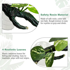 Fhiny branche-terrier 22 cm, dimensions adaptées pour reptiles.