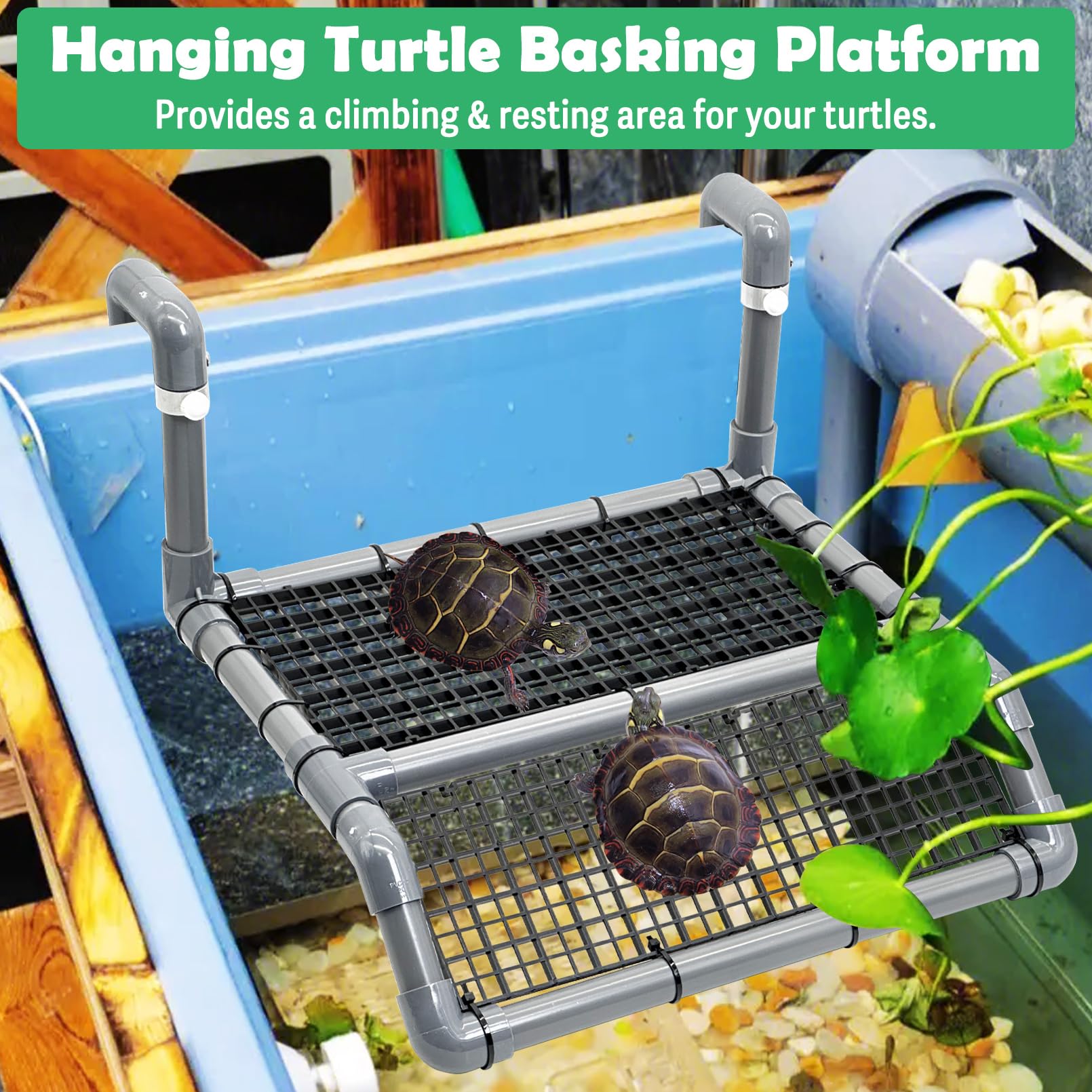 Fhiny Rampe escalade tortue, accès facile au plateau.