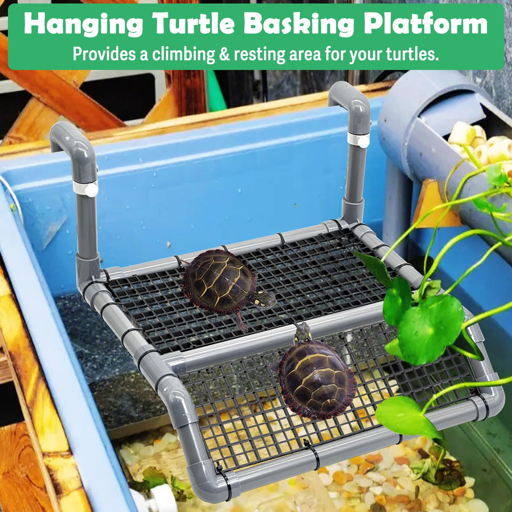Fhiny Rampe escalade tortue, accès facile au plateau.