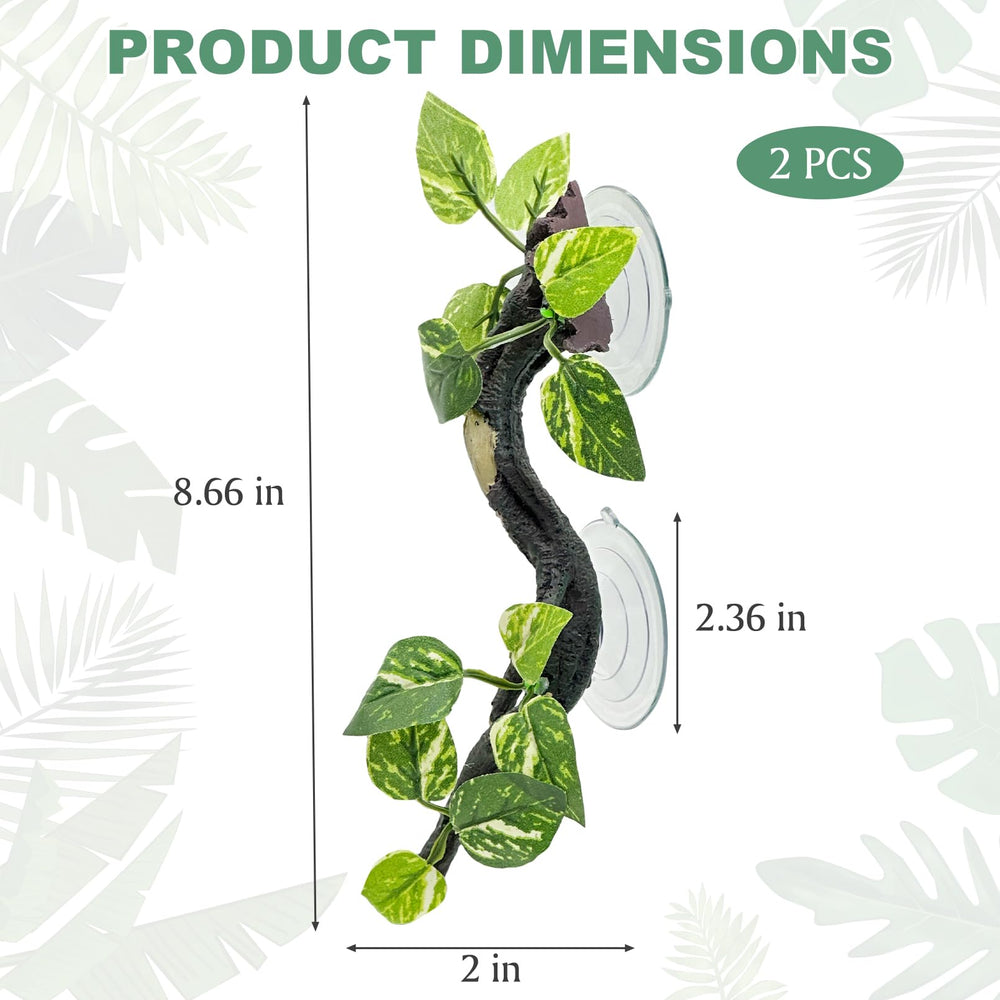 Fhiny ventouses puissantes, fixation stable sur paroi d'aquarium.