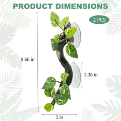 Fhiny ventouses puissantes, fixation stable sur paroi d'aquarium.